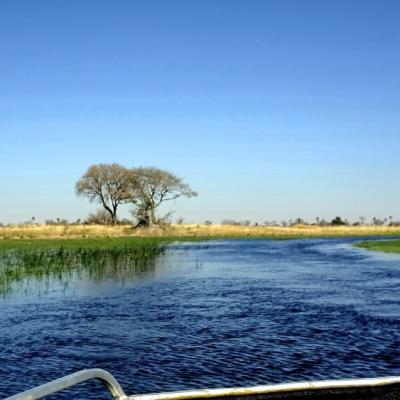 Okavang Delta